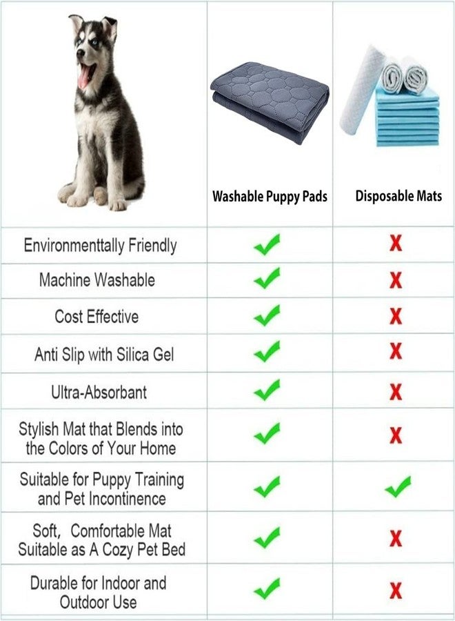 Petlicious & More® Washable Training Pads for Dogs | Non Slip Pads for Puppies (60X90 cm) | Reusable Pads| Reusable Training Pads for Puppies (Set of 2) - Image 4